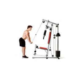 Силовой комплекс DFC HomeGym D7001