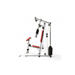 Силовой комплекс DFC HomeGym D7001