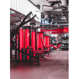 Тяга сверху (вертикальный блок) Foreman FN-301