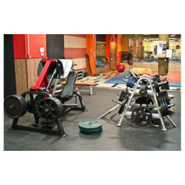 Жим ногами Aerofit SL7006