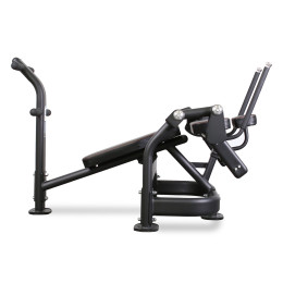 Пресс-скамья Bronze Gym PL-1720