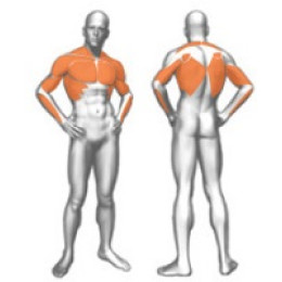 Жим в наклоне (базовый) Panatta 1FE037B