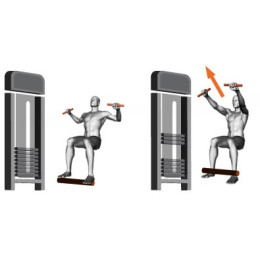 Жим в наклоне (базовый) Panatta 1FE037B