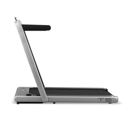 Беговая дорожка Applegate T5 Panel