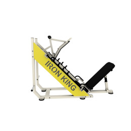 Жим ногами Iron King NL 302