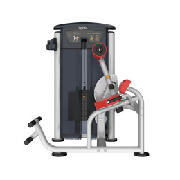 Разгибание спины Aerofit IT9532