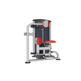 Вращение торса Aerofit IT9518