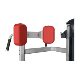 Вращение торса Aerofit IT9518