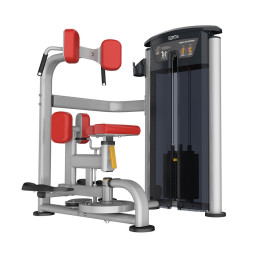 Вращение торса Aerofit IT9518