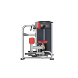 Вращение торса Aerofit IT9518