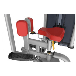 Вращение торса Aerofit IT9518