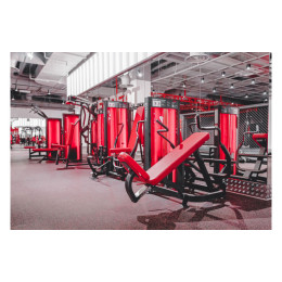 Жим от плеч Foreman FN-404