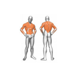 Одинарная блочная стойка Panatta High low pulley 1SC116