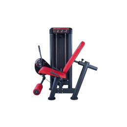 Разгибание ног сидя Panatta Leg extension 1SC081