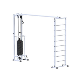 Кроссовер ARMS Биотонус (стек 100кг)+ шведская стенка AR087.1х2400