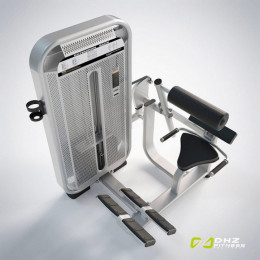 Разгибание спины (Back Extension) DHZ E7031