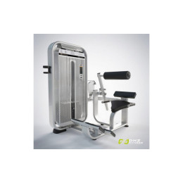 Разгибание спины (Back Extension) DHZ E7031