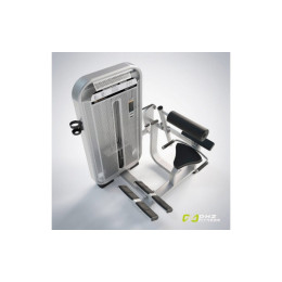 Разгибание спины (Back Extension) DHZ E7031