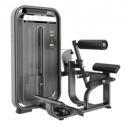 Разгибание спины (Back Extension) DHZ E7031
