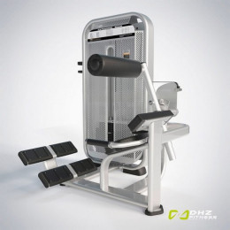 Разгибание спины (Back Extension) DHZ E7031