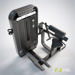 Разгибание спины (Back Extension) DHZ E7031