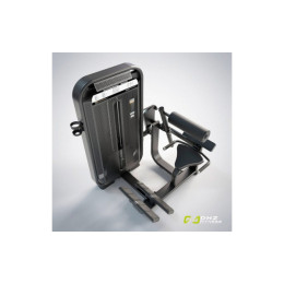 Разгибание спины (Back Extension) DHZ E7031