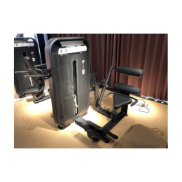 Разгибание спины (Back Extension) DHZ E7031