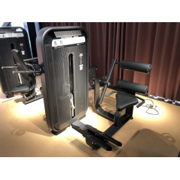 Разгибание спины (Back Extension) DHZ E7031