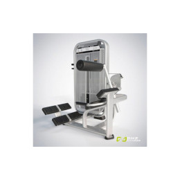 Разгибание спины (Back Extension) DHZ E7031