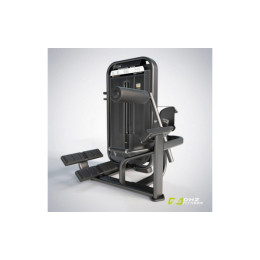 Разгибание спины (Back Extension) DHZ E7031