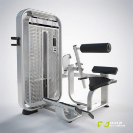 Разгибание спины (Back Extension) DHZ E7031