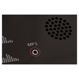 Беговая дорожка Titanium Masters Physiotech TDM