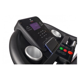 Беговая дорожка Titanium Masters Physiotech TDM