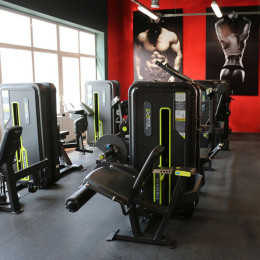 Разгибание ног сидя (Leg Extension) DHZ A3002