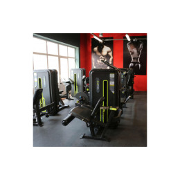 Разгибание ног сидя (Leg Extension) DHZ A3002