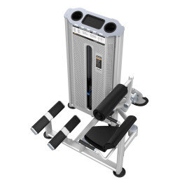 Разгибание спины (Back Extension) DHZ U2031