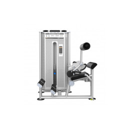 Разгибание спины (Back Extension) DHZ U2031