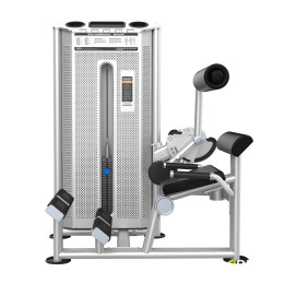 Разгибание спины (Back Extension) DHZ U2031