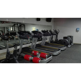 Беговая дорожка Aerofit PT300H (X4-T LED)