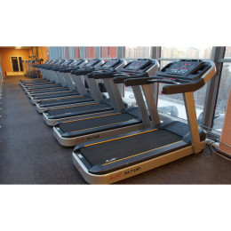 Беговая дорожка Aerofit PT300H (X4-T LED)