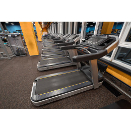 Беговая дорожка Aerofit PT300H (X4-T LED)