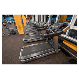 Беговая дорожка Aerofit PT300H (X4-T LED)