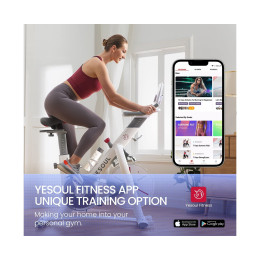 Велотренажер Xiaomi Yesoul BM1-B черный