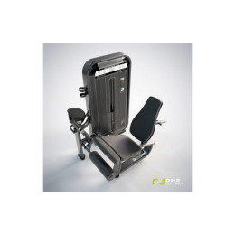 Разгибание ног сидя DHZ E7002