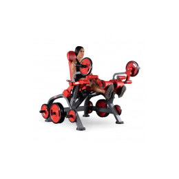 Независимое разгибание ног Panatta 1FW081