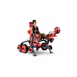 Независимое разгибание ног Panatta 1FW081