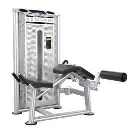 Сгибание ног лежа (Prone Leg Cur) DHZ U-2001