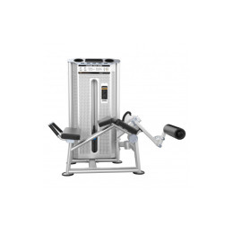 Сгибание ног лежа (Prone Leg Cur) DHZ U-2001