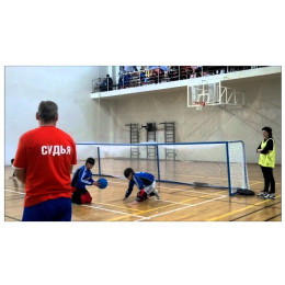 Ворота для голбола Hercules 5693