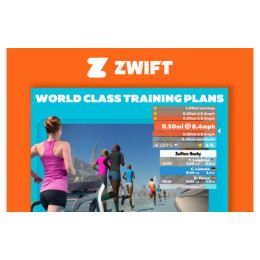 Беговая дорожка Titanium Masters TM Slimtech C10 красная